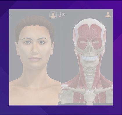 Download Chronic Migraine Anatomy App for iPhone and iPad